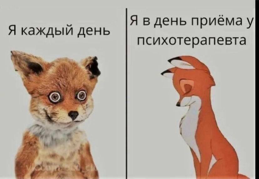 Я в день приёмау Я каждый день психотерапевта