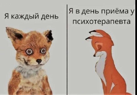 Я в день приёмау Я каждый день психотерапевта