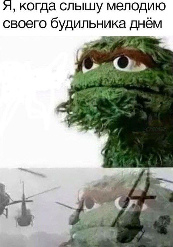 я, когда слышу мелодию своего будильника днём