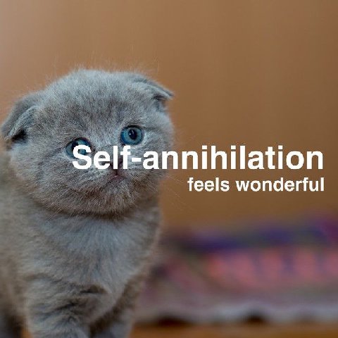Self-annihilation feels wonderful