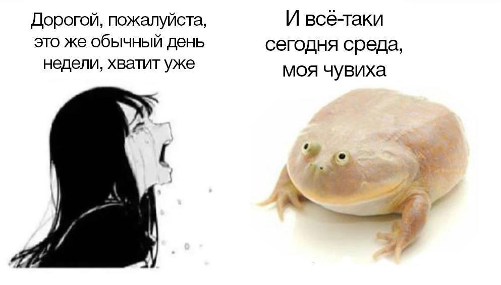 Дорогой, пожалуйста, И все-таки это же обычный день сегодня среда, недели, хватит уже моя чувиха 4