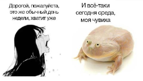 Дорогой, пожалуйста, И все-таки это же обычный день сегодня среда, недели, хватит уже моя чувиха 4