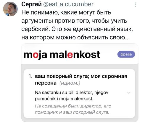 4 Сергей @eat_a cucumber Не понимаю, какие могут быть аргументы против того, чтобы учить сербский. Это же единственный язык, на котором можно объяснить свою... moja malenkost 1. ваш покорный слуга; мо