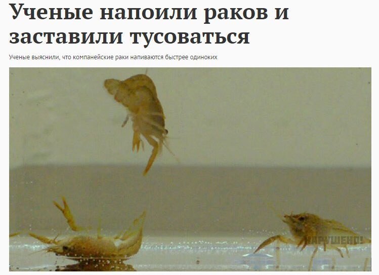 тот момент, когда "стать раком" - это искреннее желание, но не того, о чем подумает большинство