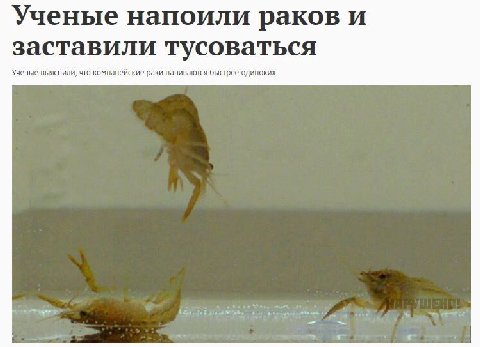 тот момент, когда "стать раком" - это искреннее желание, но не того, о чем подумает большинство