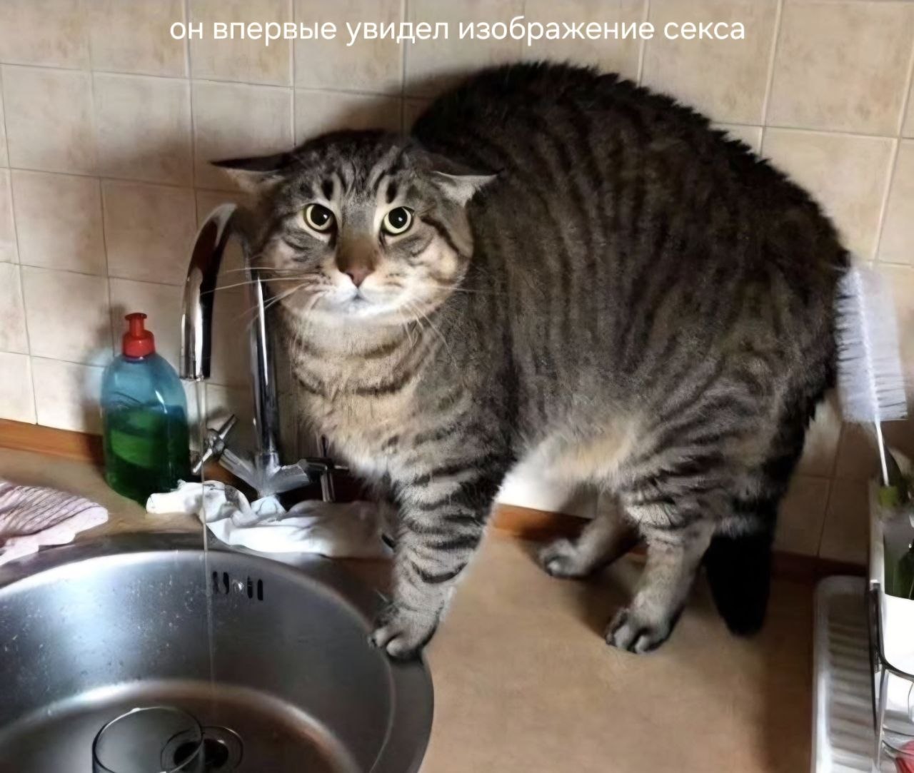 он впервые увидел изображение секса