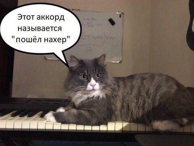 Этот аккорд называется "пошёл нахер"