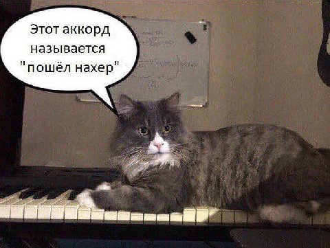 Этот аккорд называется "пошёл нахер"