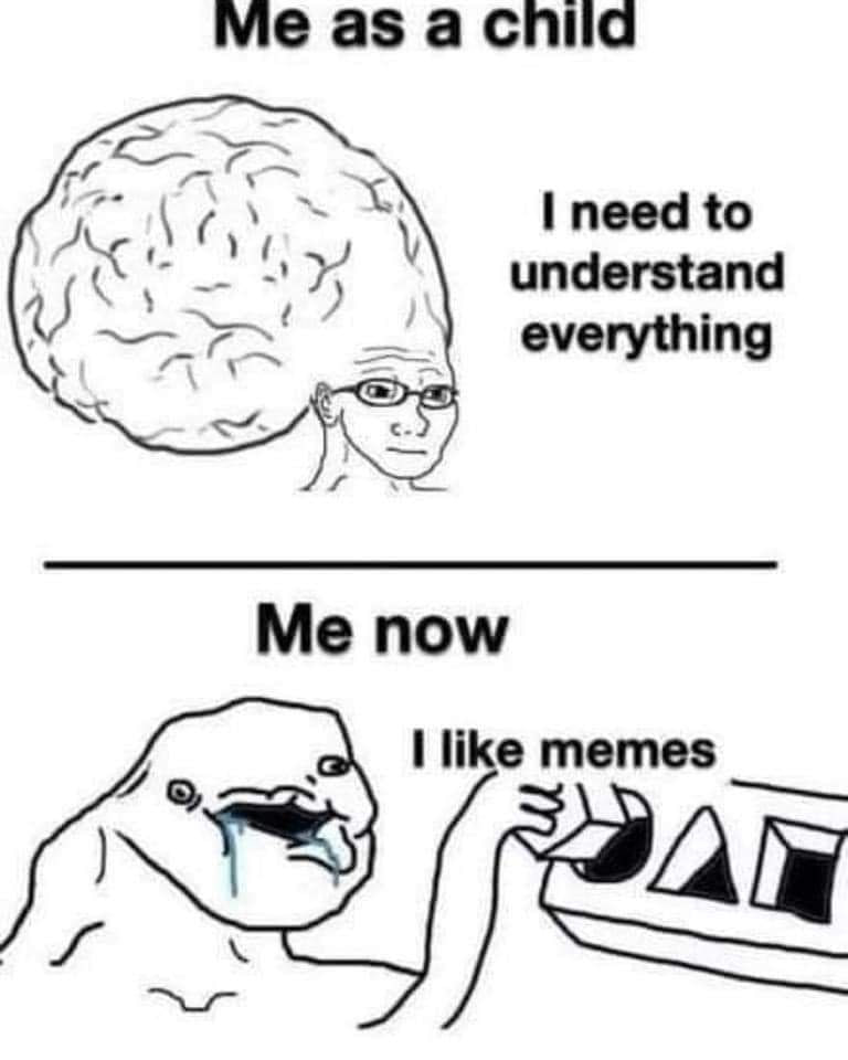 vie as a need to understand everything Me now like memes