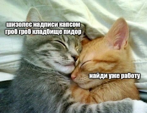 шизолес надписи капсом гроб гроб кладбище пидор 3 найди уже работу