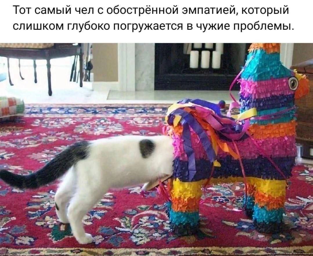 Тот самый чел с обострённой эмпатией, который слишком глубоко погружается в чужие проблемы.