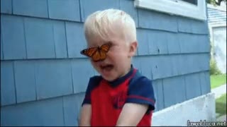 1 1