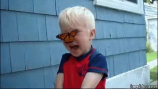 1 1