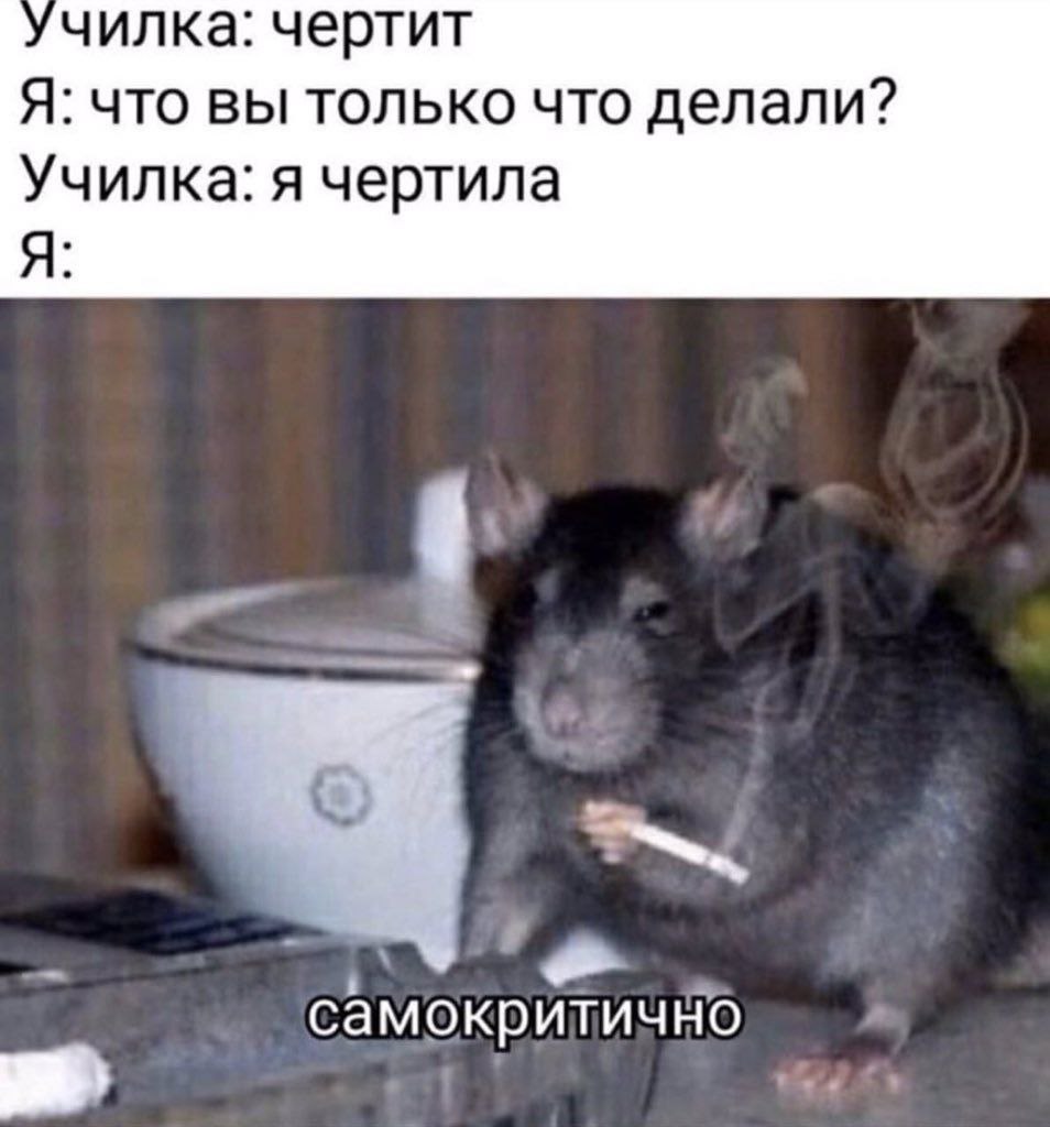 училка: чертит Я: что вы только что делали? Училка: я чертила самокритично