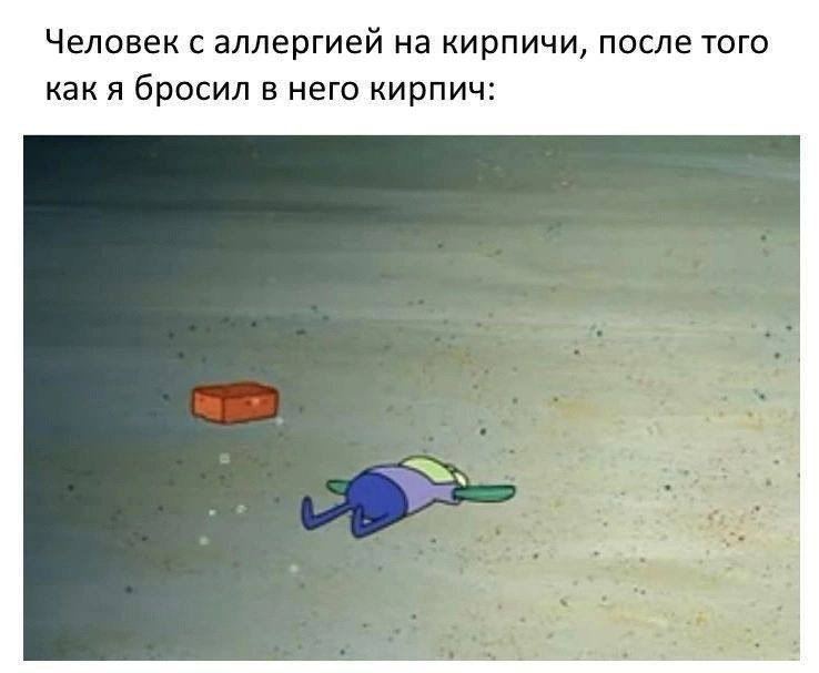 Человек с аллергией на кирпичи, после того как я бросил в него кирпич: