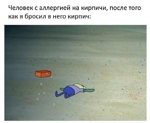 Человек с аллергией на кирпичи, после того как я бросил в него кирпич: