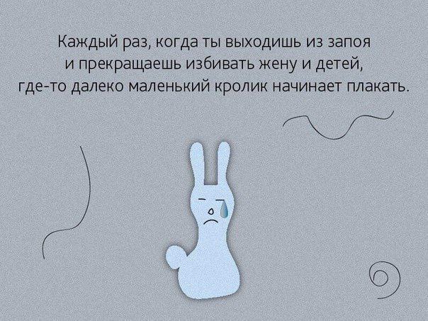 Каждый раз, когда ты выходишь из запоя и прекращаешь избивать жену и детей, где-то далеко маленький кролик начинает плакать.