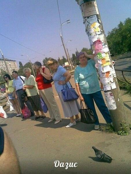 у 4 Оазис