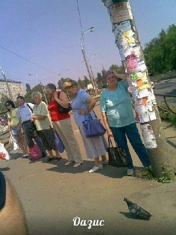 у 4 Оазис