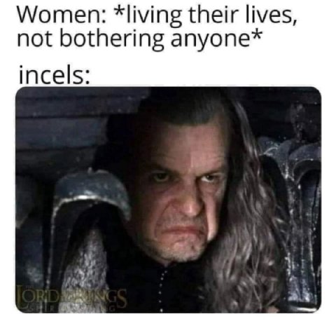 Women: *living their lives, not bothering anyone* incels: 4