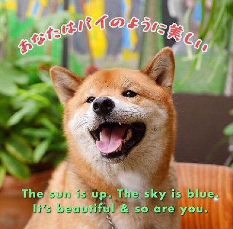 i The up. The sky is blue, ifu so are you.