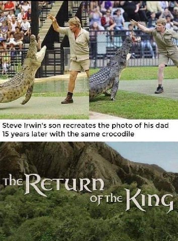 О Steve Irwin's son recreates the photo of his dad 15 years later with the same crocodile theRETURN OF the KING