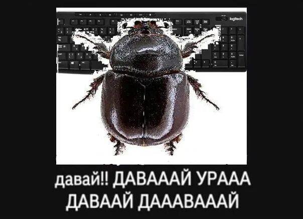 давай! ДАВАААЙ УРААА ДАВААЙ ДАААВАААЙ