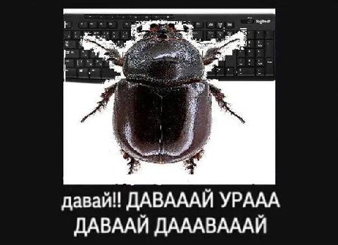 давай! ДАВАААЙ УРААА ДАВААЙ ДАААВАААЙ