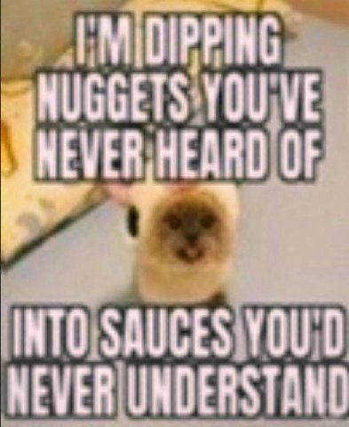MIDIPPING GETS YOU OF INTO SAUCES YOU UNDERSTAND