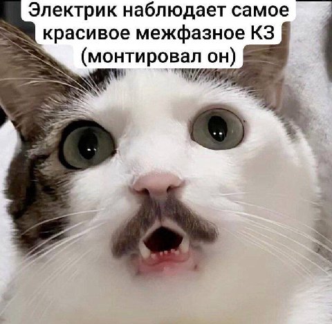 Электрик наблюдает самое красивое межфазное (монтировал он)