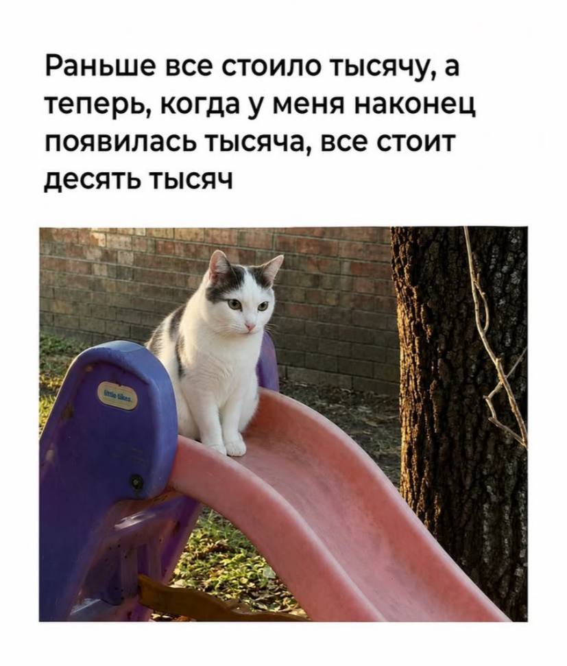 Раньше все стоило тысячу, а теперь, когда у меня наконец появилась тысяча, все стоит десять тысяч я