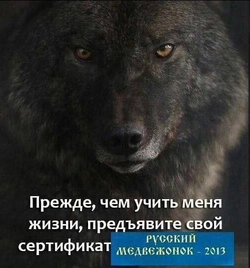 Прежде, чем учить меня жизни, предъявите свой РУССКИЙ сертификат медвежонок 2013