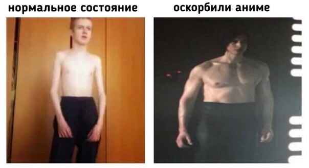 нормальное состояние оскорбили аниме