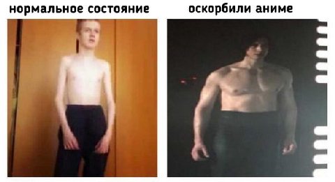 нормальное состояние оскорбили аниме