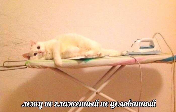 2 1$ к я a нецело Gar