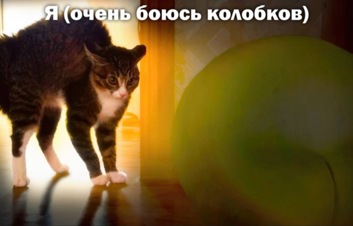 боюсь колобков)