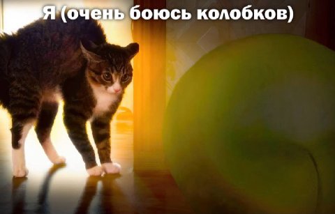 боюсь колобков)