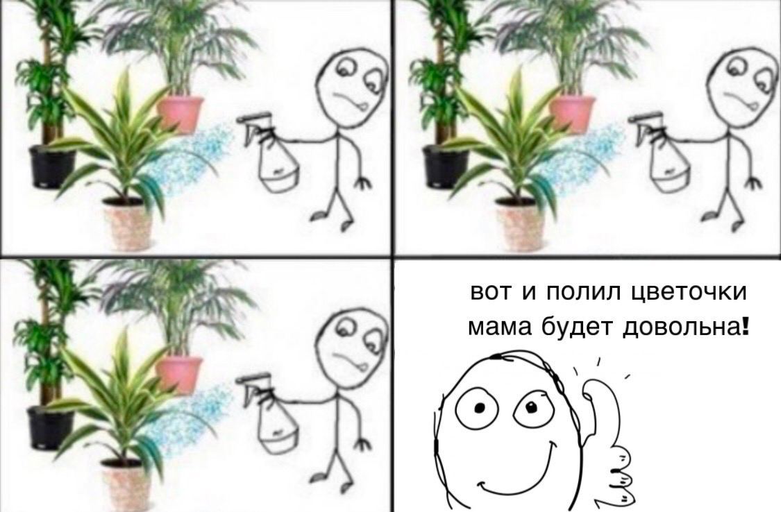 A BOT и полил цветочки мама будет довольна!