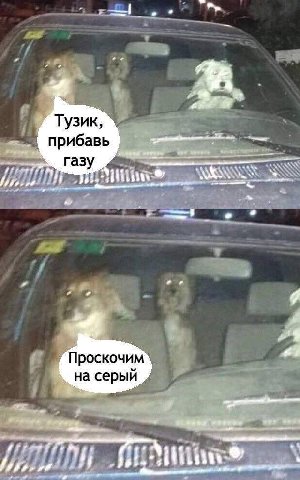 Тузик прибавь газ {i Проскочим на серыи