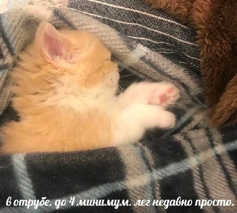 i 8 у 6 до 4 минимум. лег недавно просто.