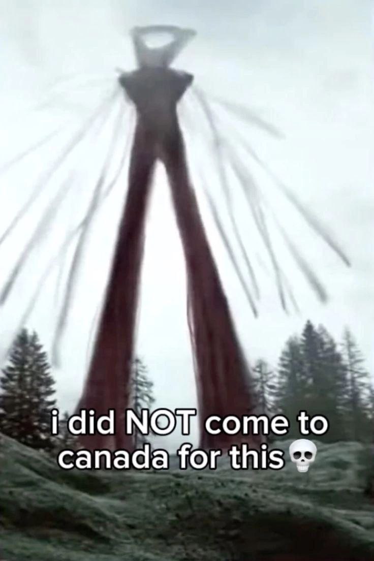 Nom me canada forthis®