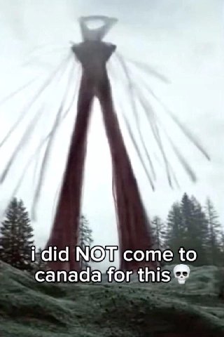 Nom me canada forthis®