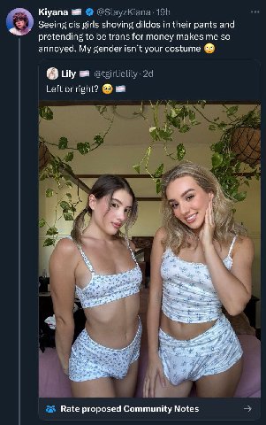 Круапа Seeing cis girls shoving dildos in their pants and pretending to be trans for money makes me so annoyed. My gender isn’t your costume Lily Left or right? a 6 38. у* Rate proposed Community Note