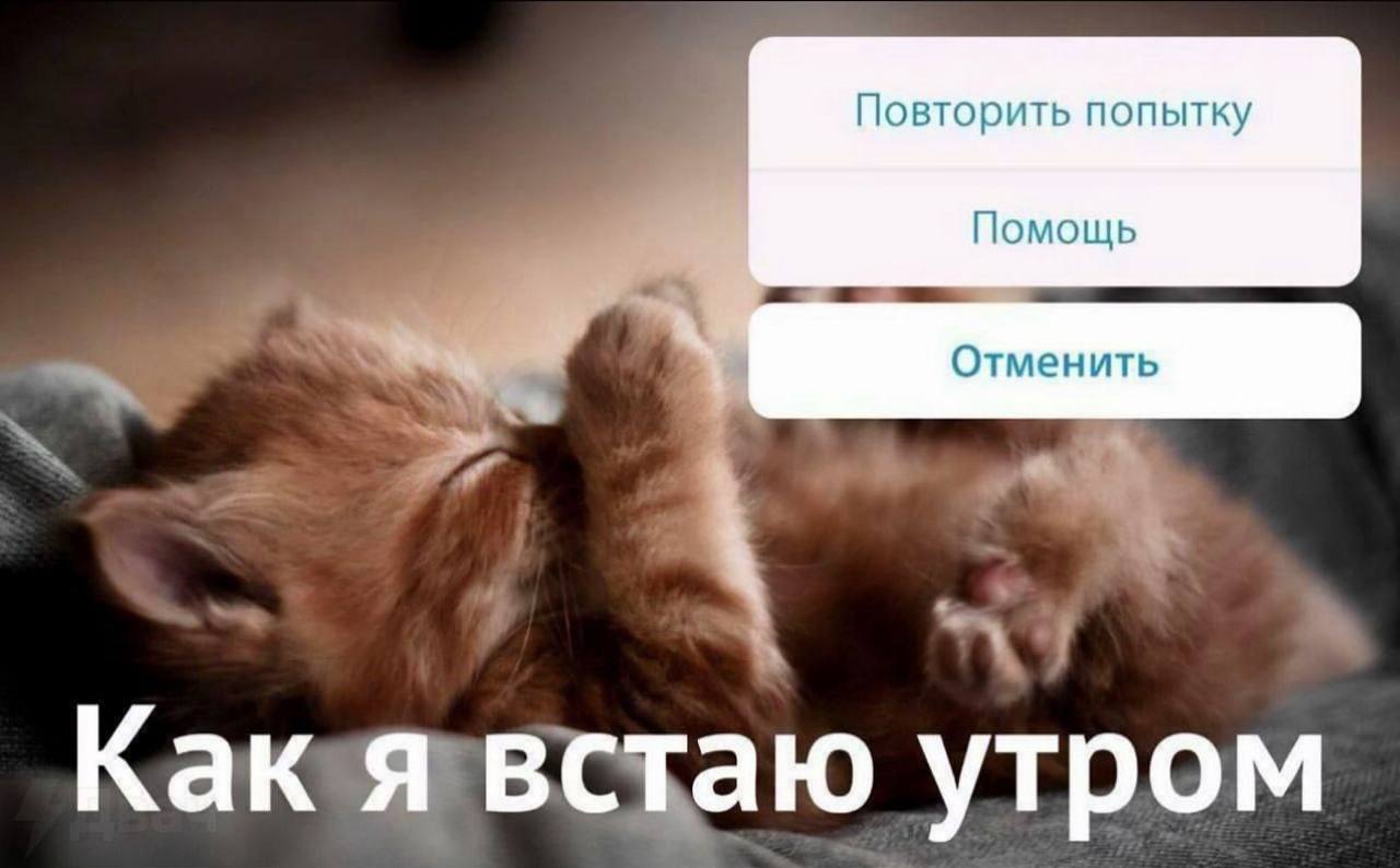 Повторить попытку Помощь Отменить Как я встаю утром