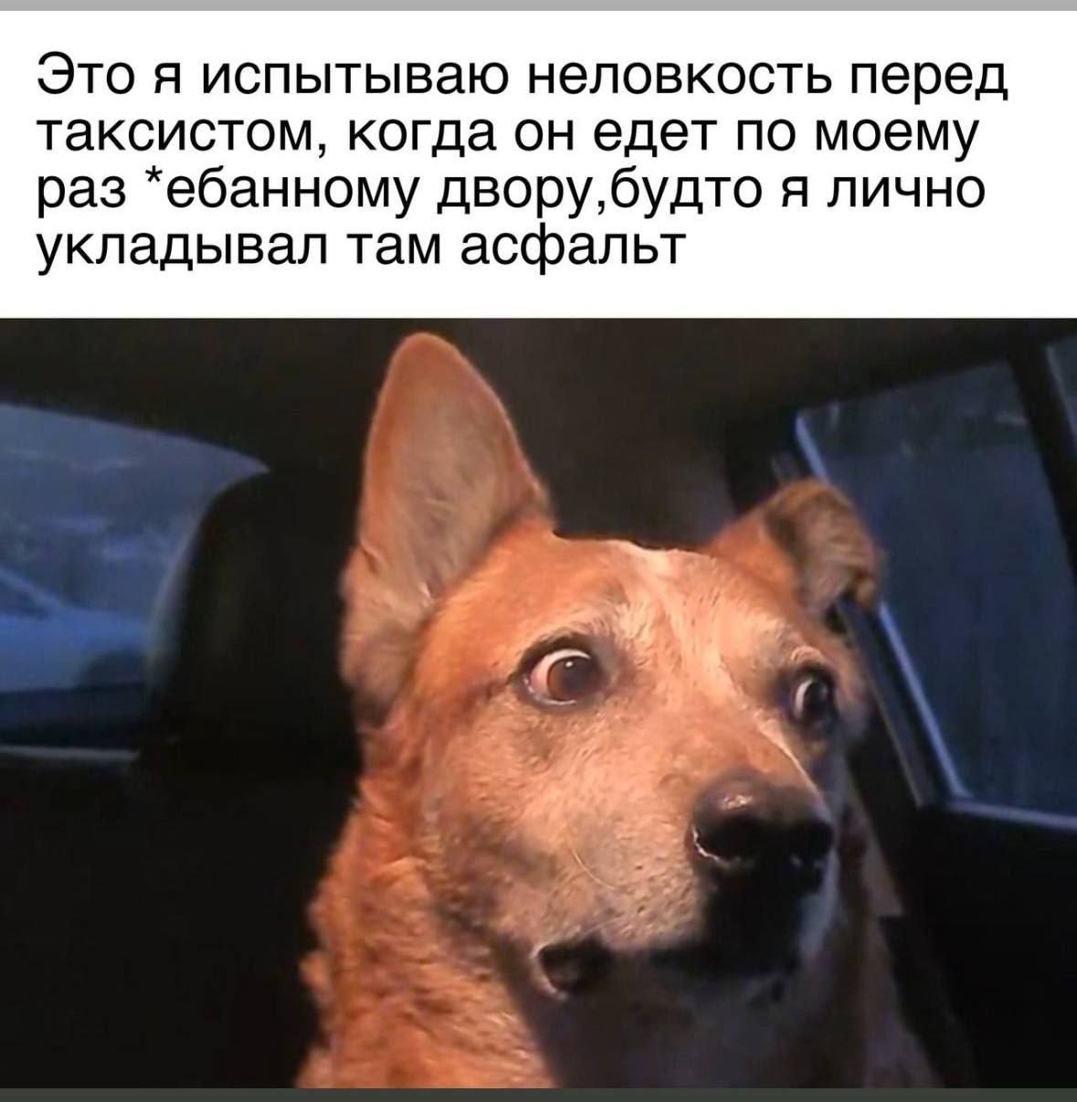 Это я испытываю неловкость перед таксистом, когда он едет по моему раз *ебанному двору,будто я лично укладывал там асфальт