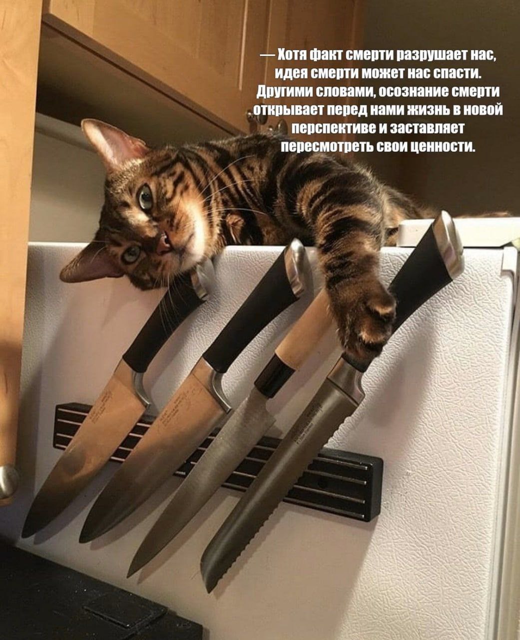 Котя факт смерти разрушает нас, идея смерти может нас спасти. Другими словами, осознание смерти ‚открывает перед нами жизнь в новой перспективе и заставляет пересмотреть свои ценности. у 5