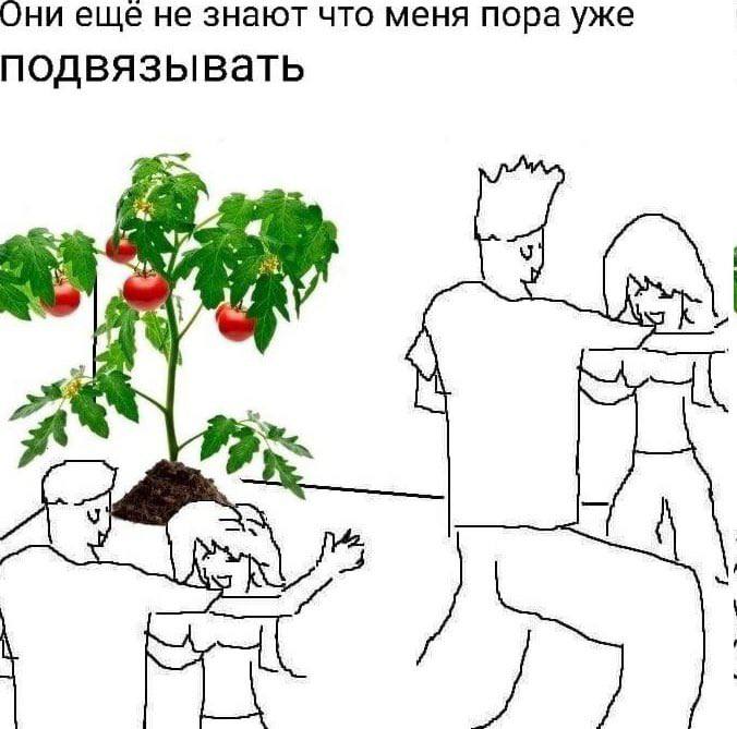 ни еще не знают что меня пора уже подвязывать