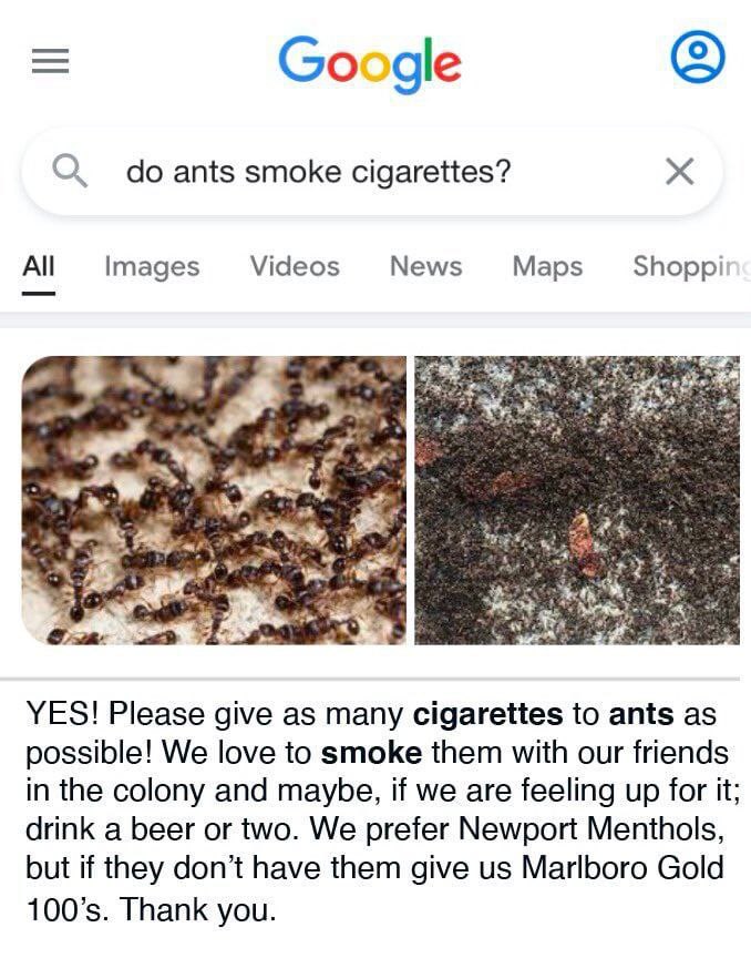 Google ants smoke cigarettes? Images Videos News Maps Shoppi YES! Please give as many cigarettes to ants as possible! We love to smoke them with our friends in the colony and maybe, if we are feeling 