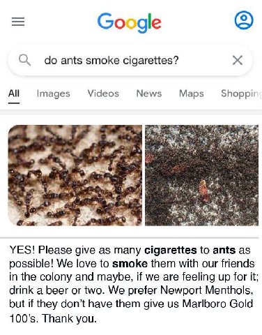 Google ants smoke cigarettes? Images Videos News Maps Shoppi YES! Please give as many cigarettes to ants as possible! We love to smoke them with our friends in the colony and maybe, if we are feeling 