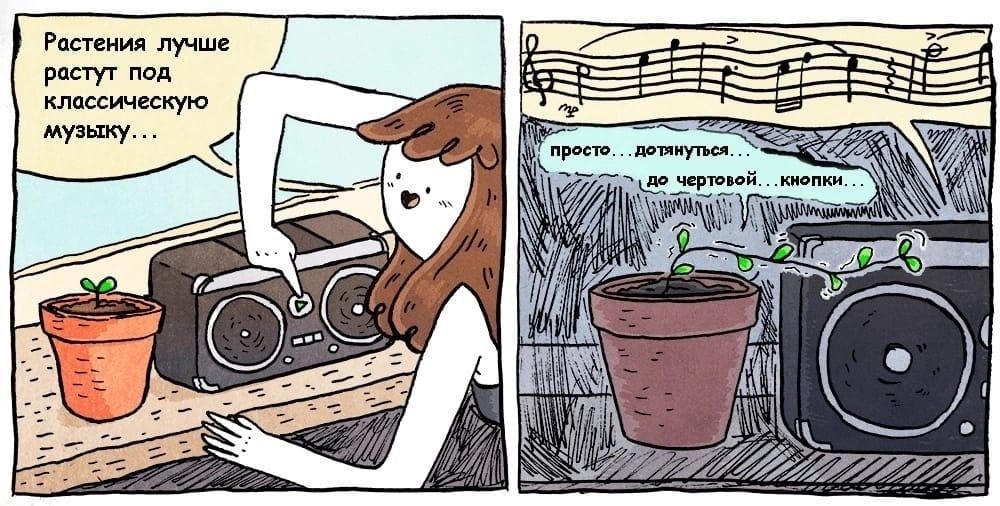 Растения лучше 1 В растут под классическую музыку просто. дотянуться. 5